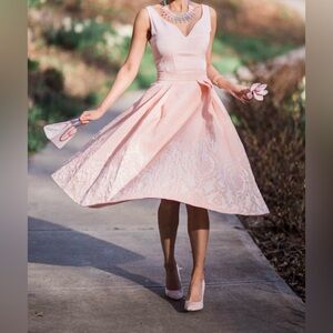 Ted Baker London Blush Pink Midi Dress